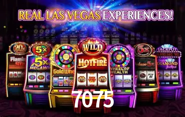 Bikini Paradise Slot - PG Soft